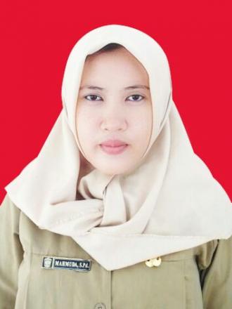 Kaur Keuangan Desa Pandansari